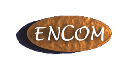 Encom Group 